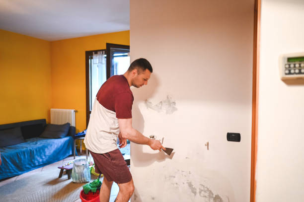 Best Insurance-Related Mold Remediation in Guntersville, AL